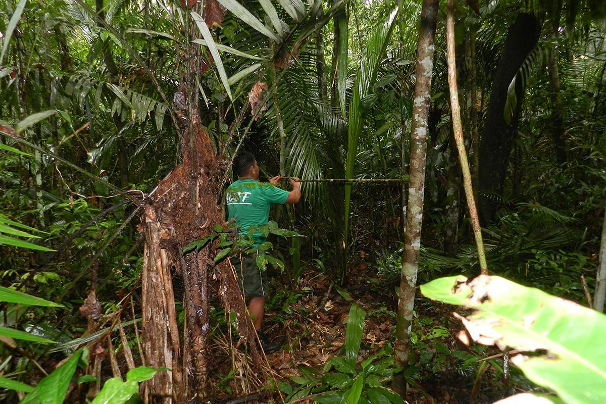 Amazon Turtle Lodge Careiro Exterior photo