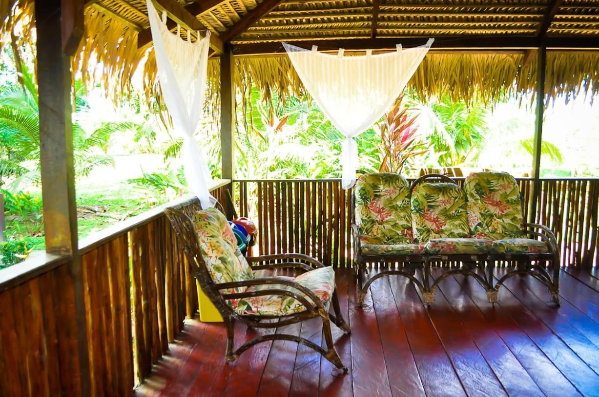 Amazon Turtle Lodge Careiro Exterior photo